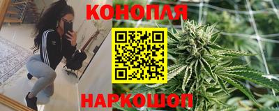 spice Пенза