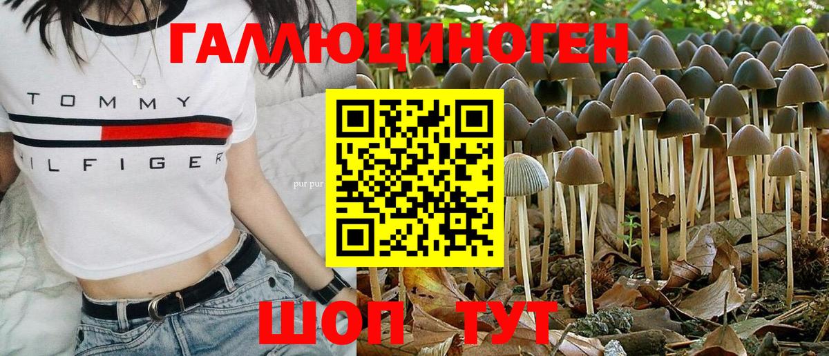 Галлюциногенные грибы Magic Shrooms Саранск